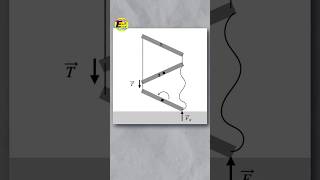 Falling Ladder Falls Faster Than Free Fall Explained ytshorts facts shorts [upl. by Thorn871]