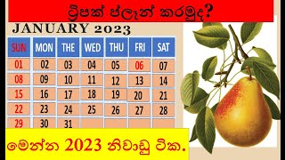 2023 calendar in sri lanka  2023 holidays sri lanka  sri lanka holiday 2023  2023 නිවාඩු දින [upl. by Eiramlehcar]