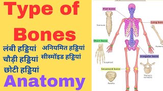 Types of Bones  Bones anatomy  skeleton system in hindi  physical education anatomy [upl. by Notled]