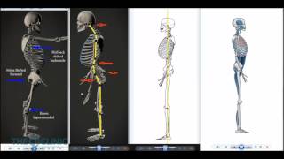 Fixing OP understanding your Center of Gravity part 1 [upl. by Allana467]