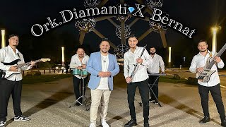 Bernard Demirali amp OrkDiamant  BASHALEN SAMO LAKE  Official Music Video [upl. by Anade]