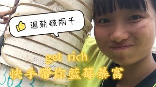 澳洲紐西蘭打工度假從慢手到快手的藍莓採果技巧大公開 一起週薪破兩千吧【呆丸雅婷Cupy】 [upl. by Elnar]