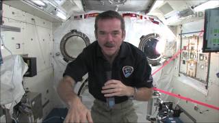 Chris Hadfield answers questions live from space with the Governor General of Canada [upl. by Ynnavoeg]