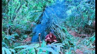 Full video 100 days solo survival in the woods Building a simple shelter and finding food [upl. by Jeremias]