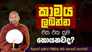 සිදුහත් කුමරු පිළිබඳව ඔබ නොදත් කතාවක්  Ven Handapangoda Nivathapa Himi [upl. by Ecirbaf]