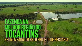 FAZENDA DE 276 ALQUEIRES À VENDA NO TOCANTINS PRONTA PARA PECUÁRIA [upl. by Nagah]