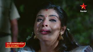 Paluke Bangaramayena  Promo  1st Apr 2024  Star Maa Serials  MonSat at 130 pm  Star Maa [upl. by Valenza]