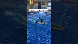 Serbest stil yüzmede ayak vuruşları nasıl olmalı swim swimming swimmingpool havuz sports [upl. by Kissiah]