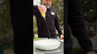 Perfect MUSHROOM RISOTTO with Fresh TRUFFLE  Free Gas ‘Cooking Show’ [upl. by Rosie]