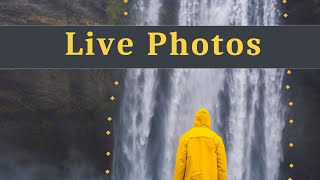 How to Make a Cinemagraph from a Still Photo NO Photoshop [upl. by Ettolrahs]