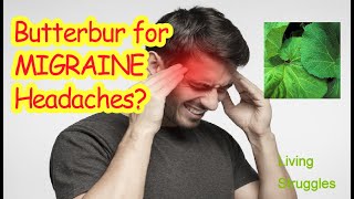 Butterbur for Headaches What You Need to know [upl. by Fleur861]