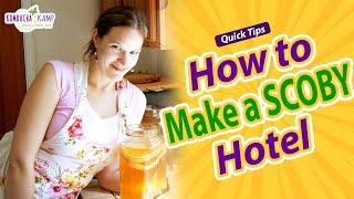 How to Make a SCOBY Hotel  Quick Tips  Kombucha Kamp  Hannah Crum [upl. by Gilpin364]