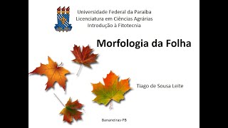 Botânica básica  Morfologia da folha Organografia [upl. by Amiaj]