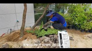 여성을 위한 여성만의 정원 roof gardenshade gardensmall gardensunken garden사례입니다 [upl. by Neicul]