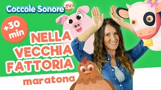 Nella Vecchia Fattoria  30 min di canzoni per bimbi  Coccole Sonore [upl. by Esihcoc491]