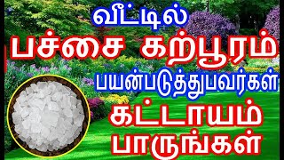 வீட்டில் பச்சை கற்பூரம் பயன்படுத்துபவர்கள் பாருங்கள் பச்சைகற்பூரம் nammabhoominammasamy [upl. by Garlen]