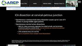 Emergency Neuroradiology with Janet Chien MD form Emory University SOM on August 11th 2024 [upl. by Eahs623]