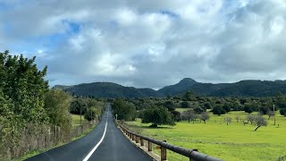 Es Capdella 🤍 Mandelblüte wo  🇪🇸 Mallorca 🤍 Blick zum Gallazó 😎 Tramuntana 🤍 Fahrt Paguera [upl. by Faria]