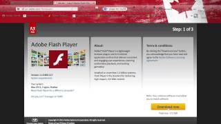 How to get Adobe Flash Player for Mac NEW UPDATED TUTORIAL ON SCREEN [upl. by Nauh45]