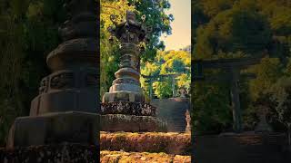 Exploring Japans Ancient Temples travel nature japantraveler [upl. by Ikciv995]