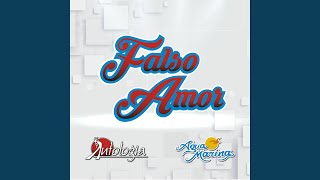 Falso Amor [upl. by Akemej445]