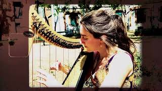 Carolans Concerto  Celtic Lever Harp solo [upl. by Loux843]