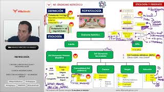 RM 2024 Nefrología 7  Síndrome Nefrótico Síndrome Nefrítico [upl. by Madelina609]