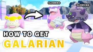 Where to get Galarica Twigs for Galarian Slowbro amp Slowking ► Pokemon Scarlet amp Violet [upl. by Hintze]