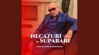 Necazuri și supărări Remix [upl. by Aerdnaeel]