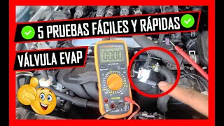 🔥 Como PROBAR La VÁLVULA De PURGA Del CANISTER 🔥Hazle Estas 5 Pruebas Fáciles y Efectivas ✅️ [upl. by Carita]