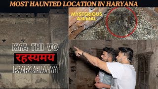 यहाँ मिली मुझे अज्ञात जानवर की लाश  Shocking Haunted Discovery  Haryana Most Haunted Location [upl. by Lanti885]