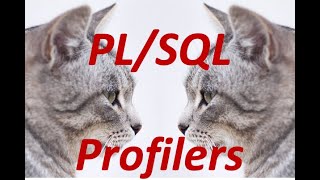 Finding Slow PLSQL Use the Profilers [upl. by Slaby]