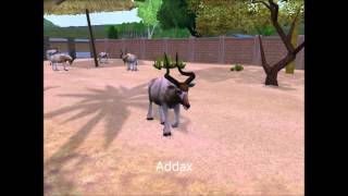 Zoo Tycoon 2 amp Endangered Species Animals [upl. by Mitchael]