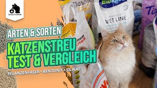 🔥Katzenstreu TestVergleich  Testsieger  beste Katzenstreu ist eine Klumpstreu Unsere Erfahrungen [upl. by Lanae]