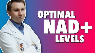 What Is NAD Longevity Boosts of Nicotinamide Adenine Dinucleotide amp NMN [upl. by Epuladaug396]