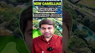 DLF Will Launch Camellias 2 More Luxury Than Camellias 1  propertylenden [upl. by Jehial]