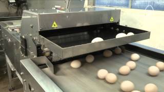 Prinzen Elgra 3 Hatching Egg Grader [upl. by Dimmick430]