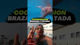 NATACION TÉCNICA DE CROL PASO A PASO [upl. by Aeniah201]