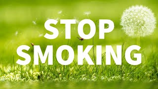 Stop Smoking Hypnosis with No Cravings ★ Amazing Quit Smoking Hypnosis [upl. by Raimondo]