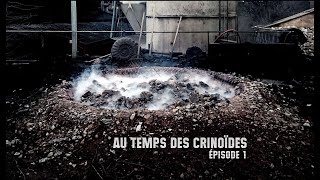 Au temps des Crinoïdes 1  Sinémurien Jurassique inférieur  Mésozoïque  Ammonites amp Nautiles [upl. by Ehgit]