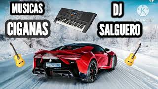 MUSICAS CIGANAS DJ SALGUERO [upl. by Oretos]