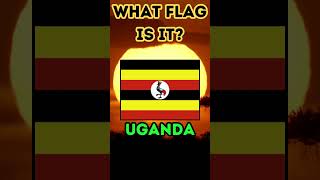 Flags of Africa Quiz Part 2 shorts [upl. by Yesor]