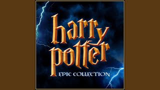 Hedwigs Theme from quotHarry Potter and The Philosophers Stonequot [upl. by Edmee592]