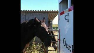 What is Horse Colic  Signs Causes Symptoms and Prevention  Rick Gore Horsemanship [upl. by Row]