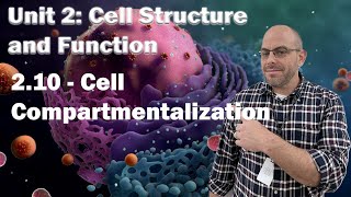 AP Bio Unit 2  210  Cell Compartmentalization [upl. by Publius]