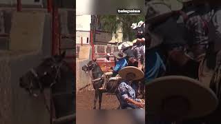 Coleadero En Picones Zacatecas  Caballo Rajado telepaisashorts [upl. by Valora]