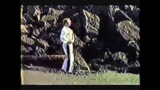 001 Don Shapland 1982 Intro and Isshinryu Upper Basics [upl. by Eloise]