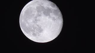 Tonights Moon In Michigan [upl. by Notgnilra734]