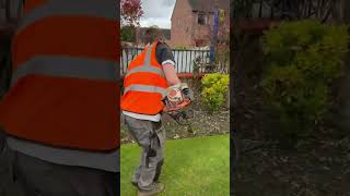 Lawn edging uk lawncare lawn lawnmaintenance lawnedging garden gardeningtipsgardening [upl. by Rednaskela]