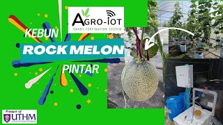 Smart Rock Melon Farm PTU UTHM menggunakan AgroIoT Smart Fertigation System [upl. by Ahsimik]